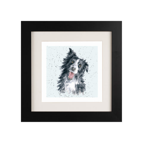 Wrendale - Framed Greeting Cards - A Dog's Life - Collection 2