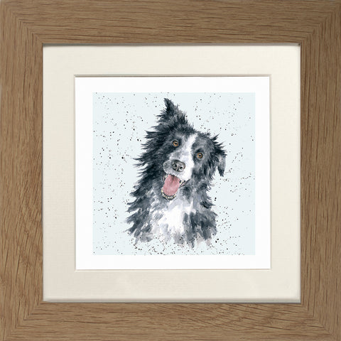 Wrendale - Framed Greeting Cards - A Dog's Life - Collection 2