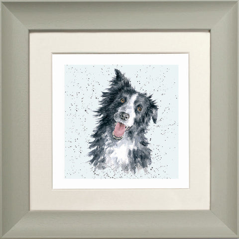 Wrendale - Framed Greeting Cards - A Dog's Life - Collection 2