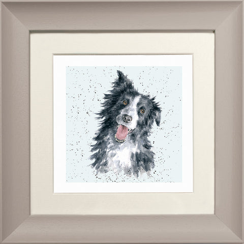 Wrendale - Framed Greeting Cards - A Dog's Life - Collection 2
