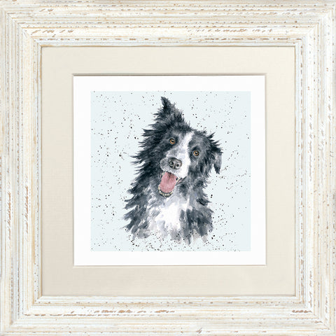 Wrendale - Framed Greeting Cards - A Dog's Life - Collection 2