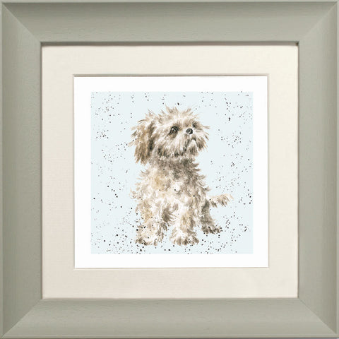 Wrendale - Framed Greeting Cards - A Dog's Life - Collection 2