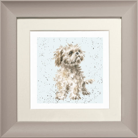 Wrendale - Framed Greeting Cards - A Dog's Life - Collection 2
