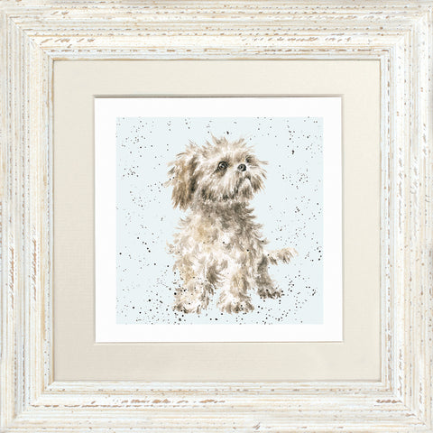 Wrendale - Framed Greeting Cards - A Dog's Life - Collection 2