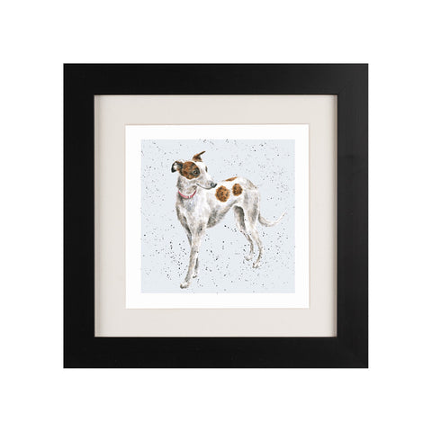 Wrendale - Framed Greeting Cards - A Dog's Life - Collection 2