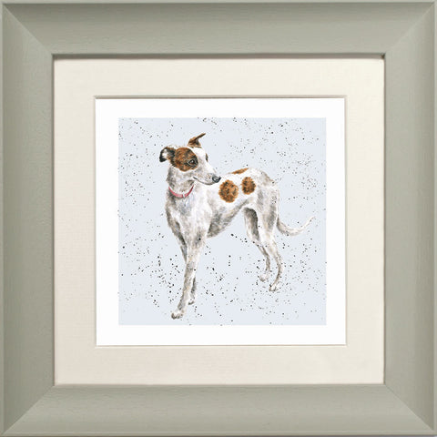 Wrendale - Framed Greeting Cards - A Dog's Life - Collection 2