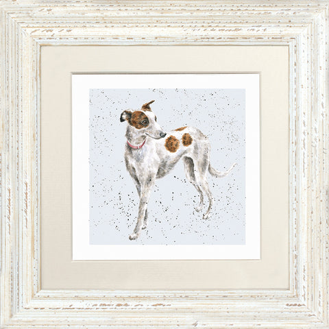 Wrendale - Framed Greeting Cards - A Dog's Life - Collection 2