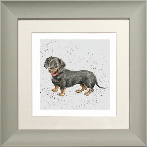 Wrendale - Framed Greeting Cards - A Dog's Life - Collection 2