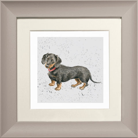 Wrendale - Framed Greeting Cards - A Dog's Life - Collection 2