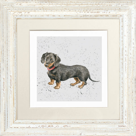 Wrendale - Framed Greeting Cards - A Dog's Life - Collection 2