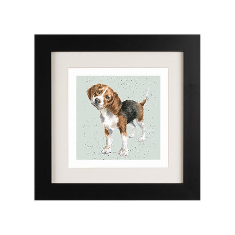 Wrendale - Framed Greeting Cards - A Dog's Life - Collection 2