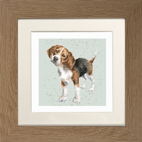 Wrendale - Framed Greeting Cards - A Dog's Life - Collection 2