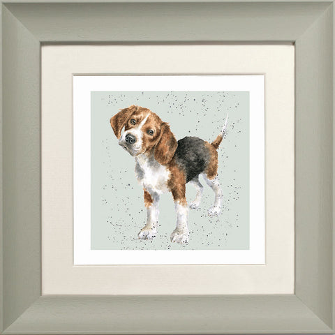 Wrendale - Framed Greeting Cards - A Dog's Life - Collection 2