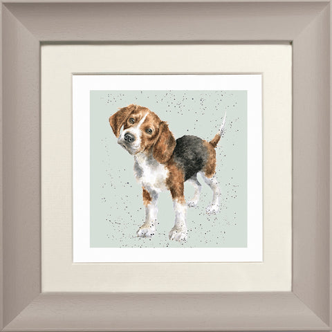 Wrendale - Framed Greeting Cards - A Dog's Life - Collection 2