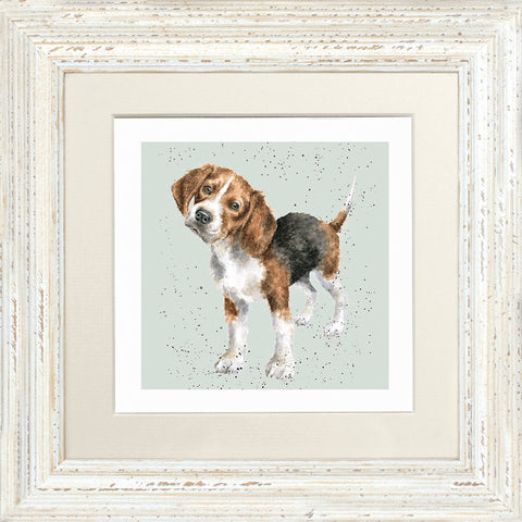 Wrendale - Framed Greeting Cards - A Dog's Life - Collection 2
