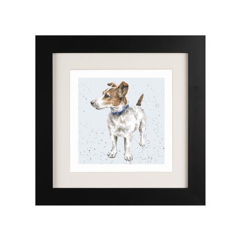 Wrendale - Framed Greeting Cards - A Dog's Life - Collection 2