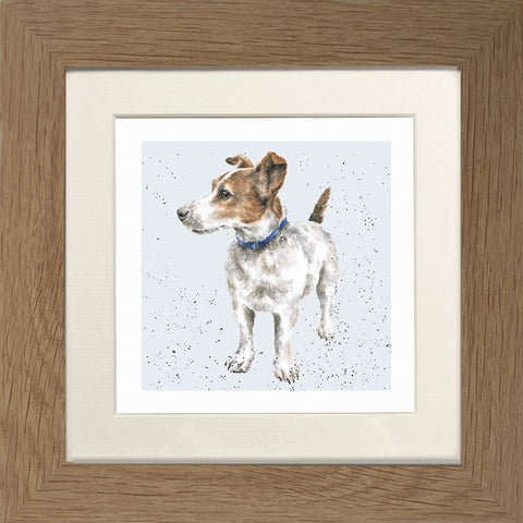 Wrendale - Framed Greeting Cards - A Dog's Life - Collection 2