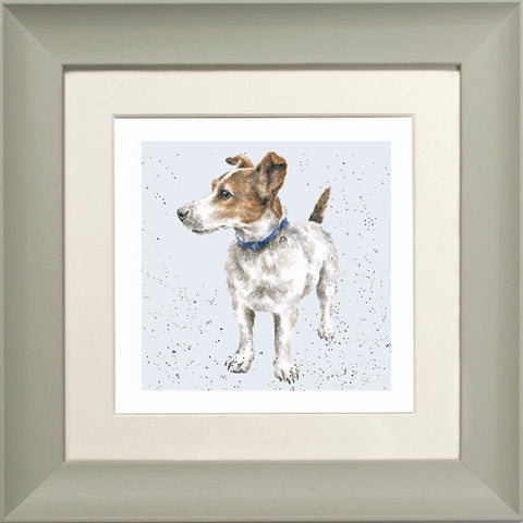 Wrendale - Framed Greeting Cards - A Dog's Life - Collection 2