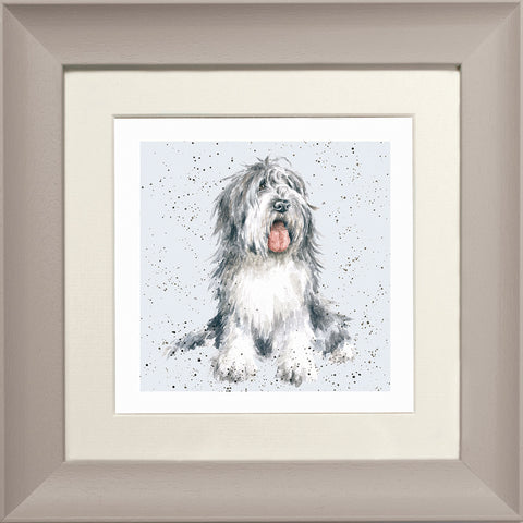 Wrendale - Framed Greeting Cards - A Dog's Life - Collection 2