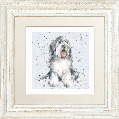 Wrendale - Framed Greeting Cards - A Dog's Life - Collection 2