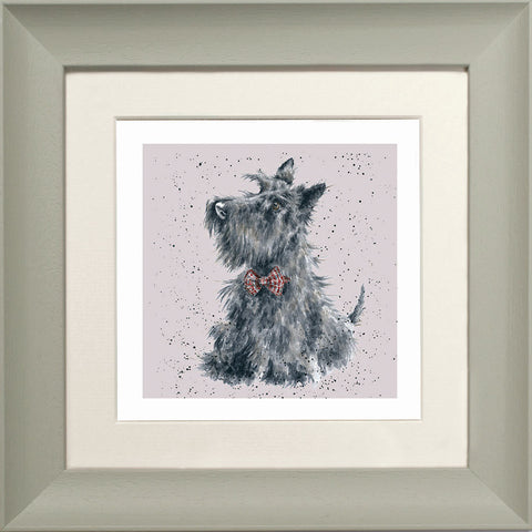 Wrendale - Framed Greeting Cards - A Dog's Life - Collection 2
