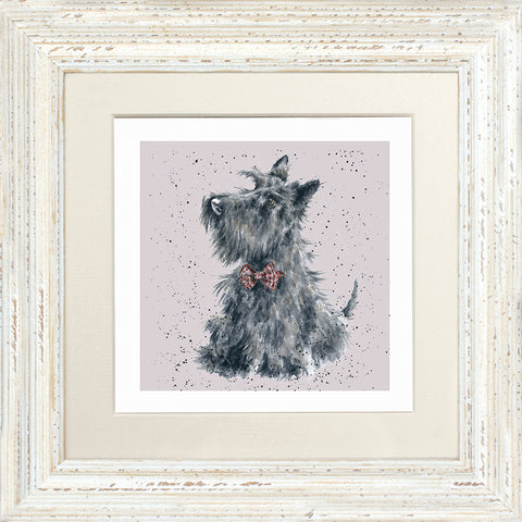 Wrendale - Framed Greeting Cards - A Dog's Life - Collection 2