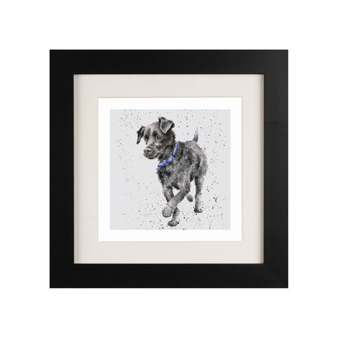 Wrendale - Framed Greeting Cards - A Dog's Life - Collection 2