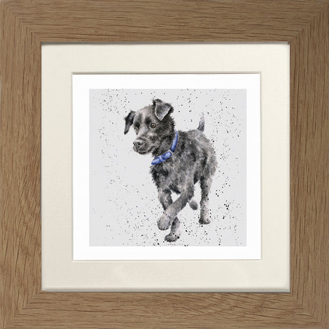 Wrendale - Framed Greeting Cards - A Dog's Life - Collection 2