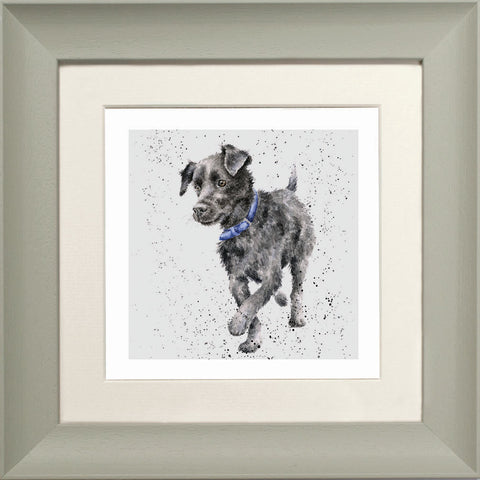 Wrendale - Framed Greeting Cards - A Dog's Life - Collection 2