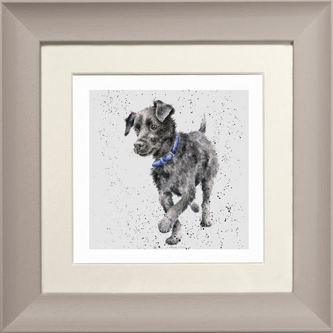 Wrendale - Framed Greeting Cards - A Dog's Life - Collection 2