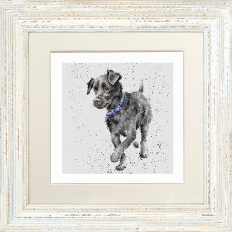 Wrendale - Framed Greeting Cards - A Dog's Life - Collection 2