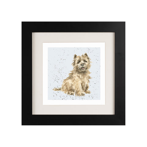 Wrendale - Framed Greeting Cards - A Dog's Life - Collection 2