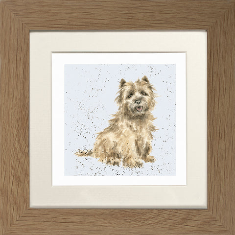 Wrendale - Framed Greeting Cards - A Dog's Life - Collection 2