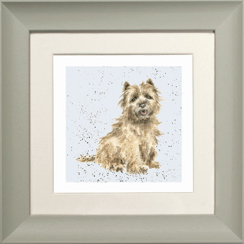 Wrendale - Framed Greeting Cards - A Dog's Life - Collection 2