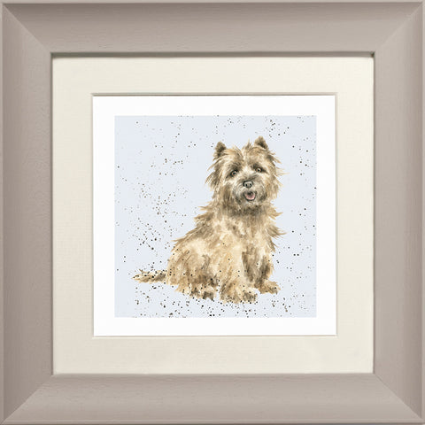 Wrendale - Framed Greeting Cards - A Dog's Life - Collection 2