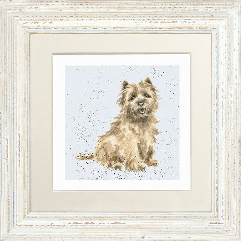 Wrendale - Framed Greeting Cards - A Dog's Life - Collection 2