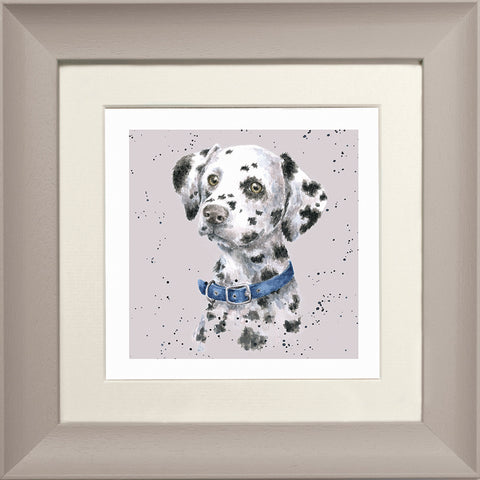 Wrendale - Framed Greeting Cards - A Dog's Life - Collection 2