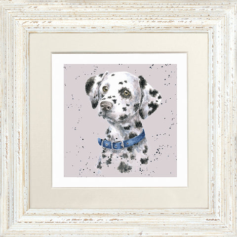 Wrendale - Framed Greeting Cards - A Dog's Life - Collection 2