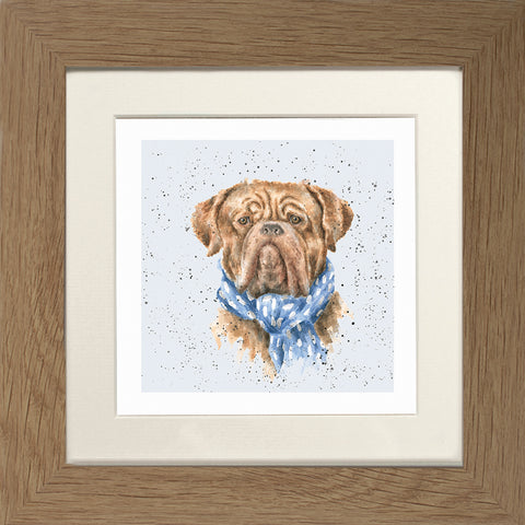 Wrendale - Framed Greeting Cards - A Dog's Life - Collection 2