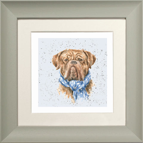 Wrendale - Framed Greeting Cards - A Dog's Life - Collection 2