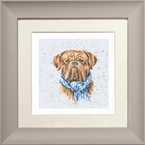 Wrendale - Framed Greeting Cards - A Dog's Life - Collection 2