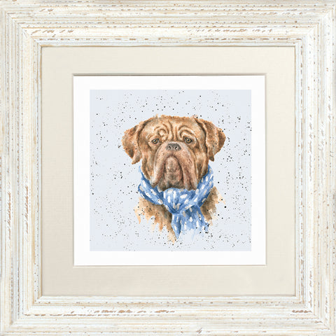 Wrendale - Framed Greeting Cards - A Dog's Life - Collection 2