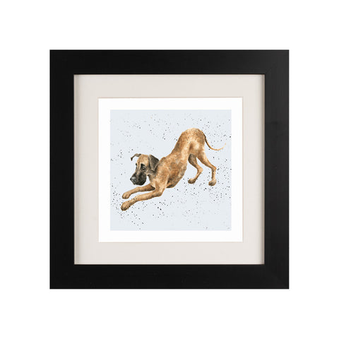 Wrendale - Framed Greeting Cards - A Dog's Life - Collection 2