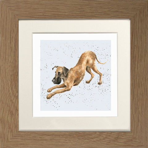 Wrendale - Framed Greeting Cards - A Dog's Life - Collection 2
