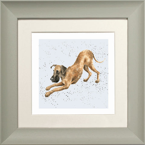 Wrendale - Framed Greeting Cards - A Dog's Life - Collection 2
