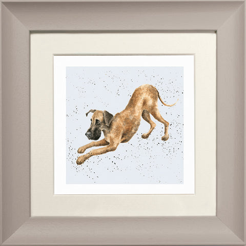 Wrendale - Framed Greeting Cards - A Dog's Life - Collection 2