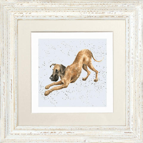 Wrendale - Framed Greeting Cards - A Dog's Life - Collection 2