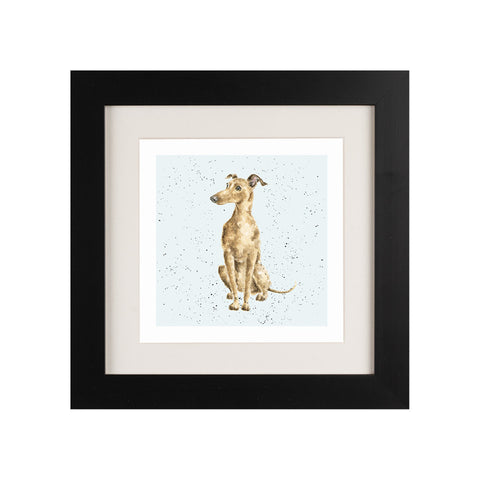 Wrendale - Framed Greeting Cards - A Dog's Life - Collection 2