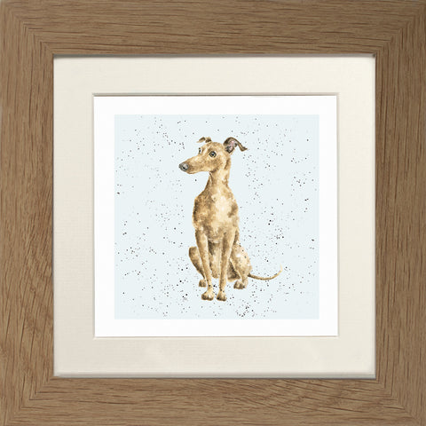 Wrendale - Framed Greeting Cards - A Dog's Life - Collection 2