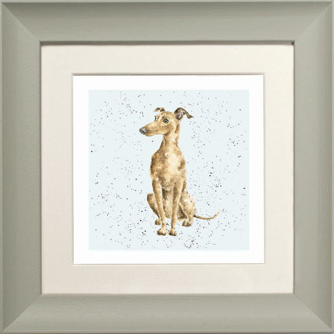 Wrendale - Framed Greeting Cards - A Dog's Life - Collection 2